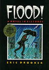 Flood